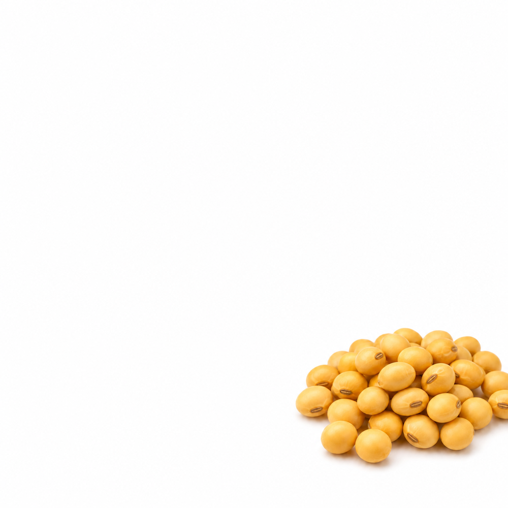 Nattokinase 4,000 FU
