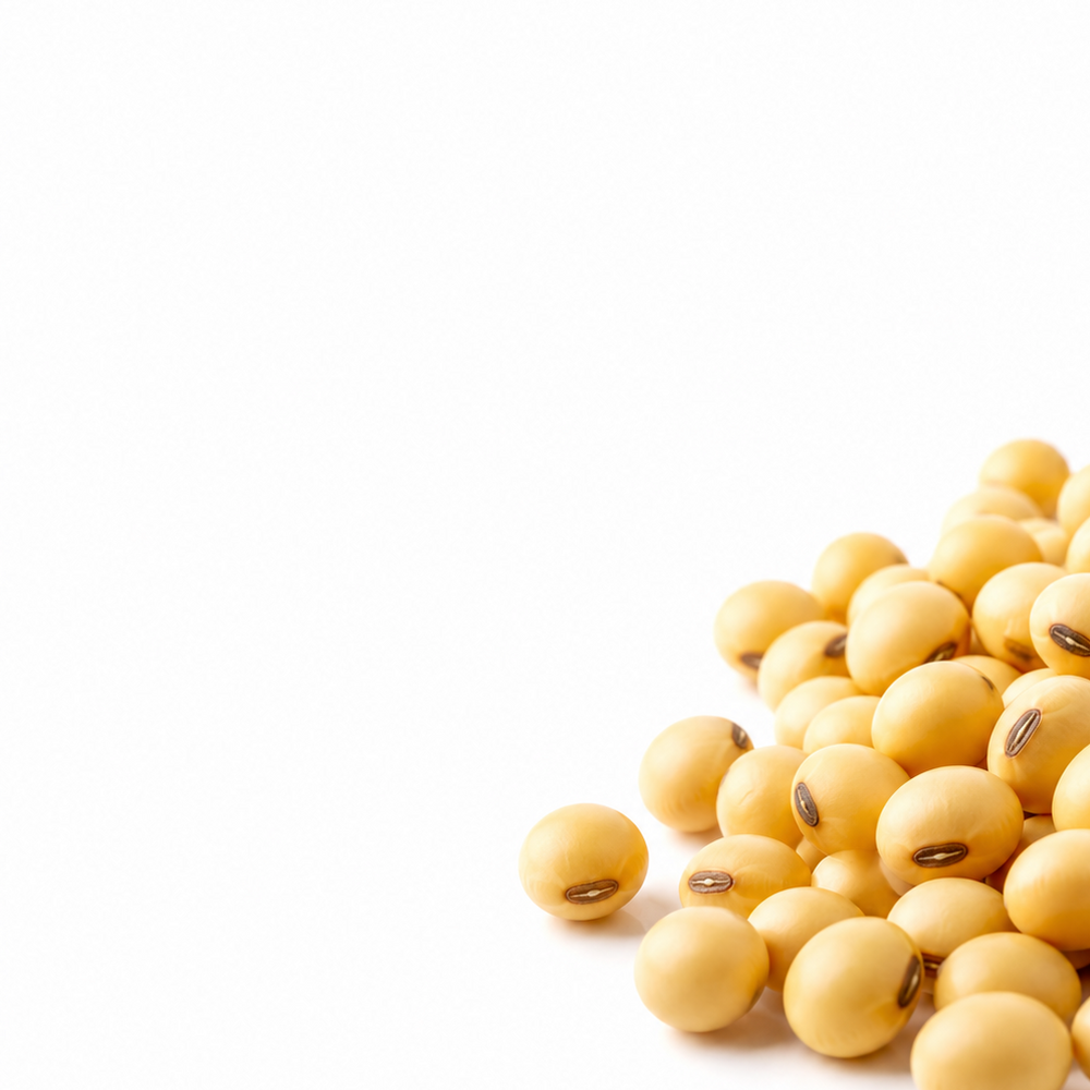 Nattokinase 10,000 FU