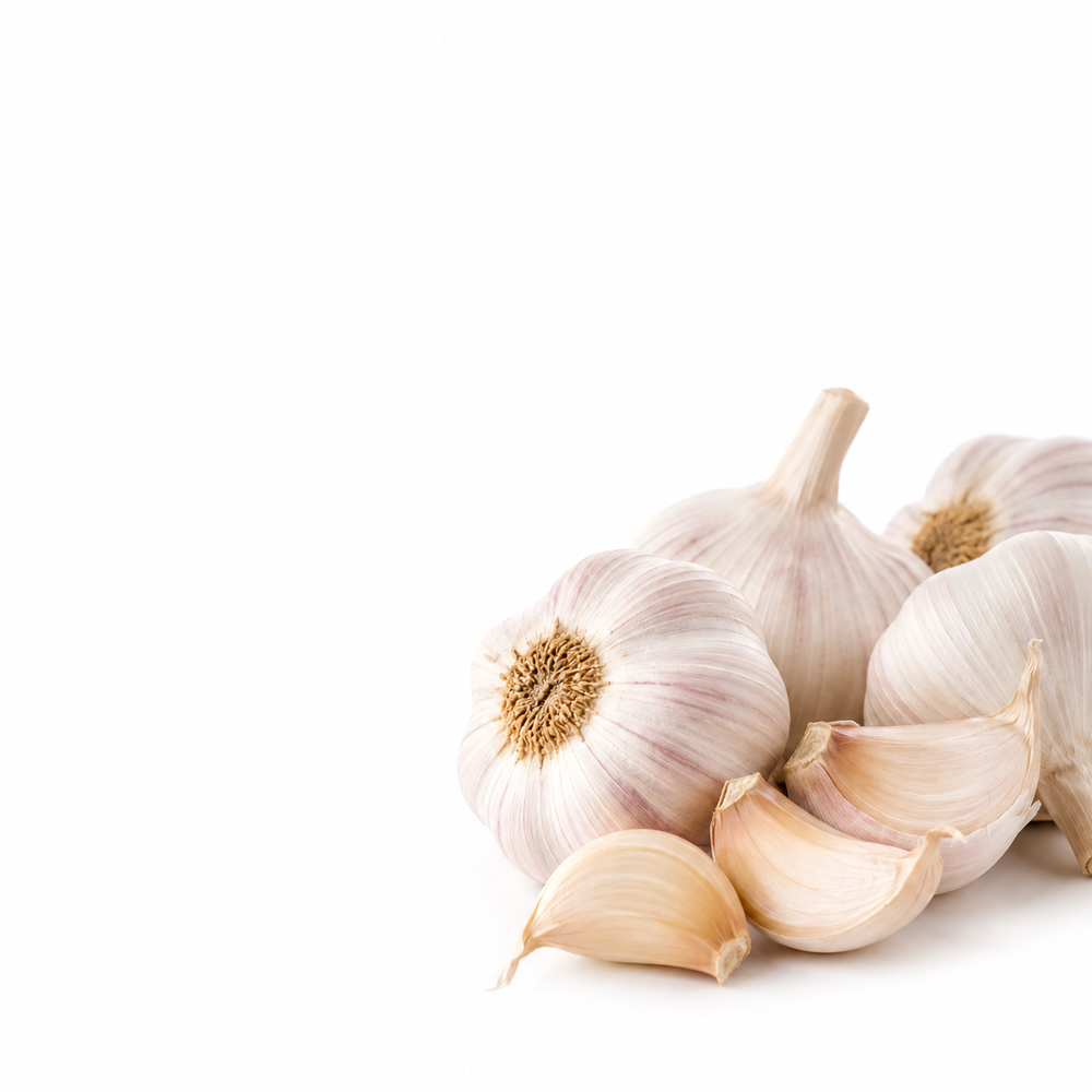 Aged Garlic