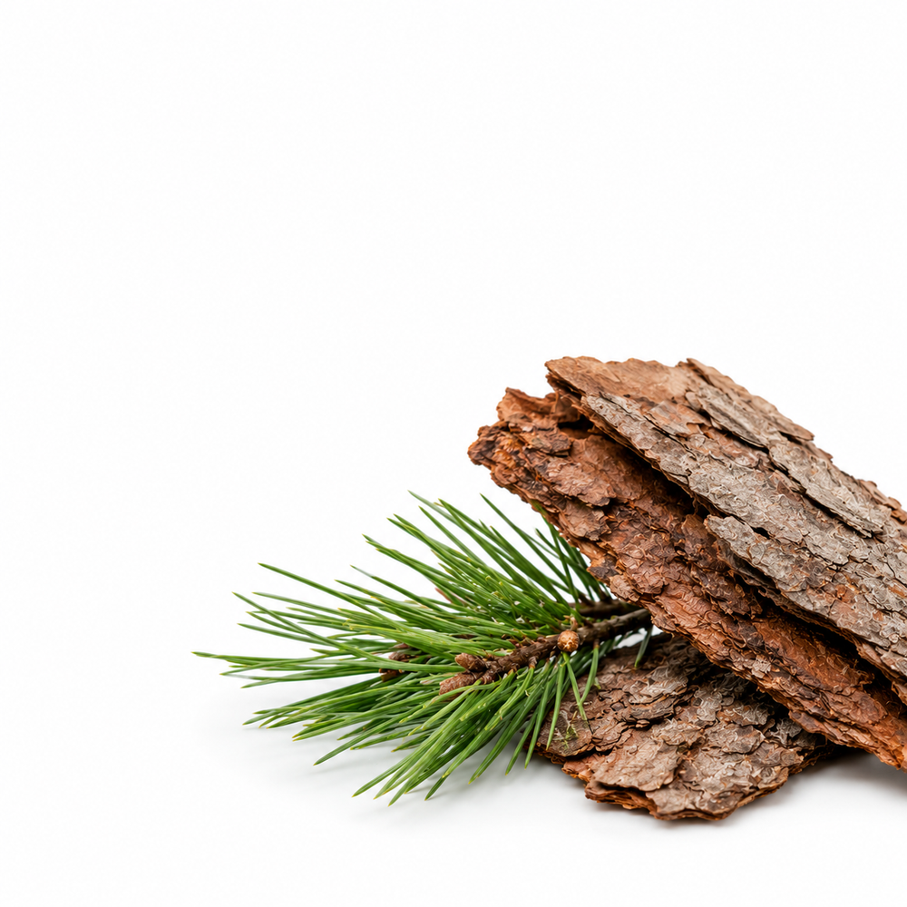 Pine Bark